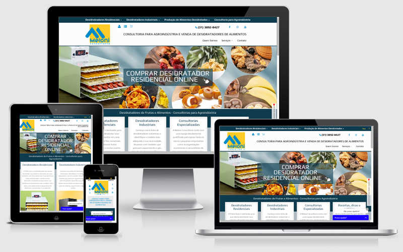 A Meloni é uma empresa de consultoria para a agroindústria e venda de desidratadores de alimentos. Contou com a experiência da Agenzzia e com o sistema DinamicSite para o desenvolvimento do seu site. 